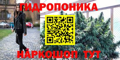 бошки Гусь-Хрустальный