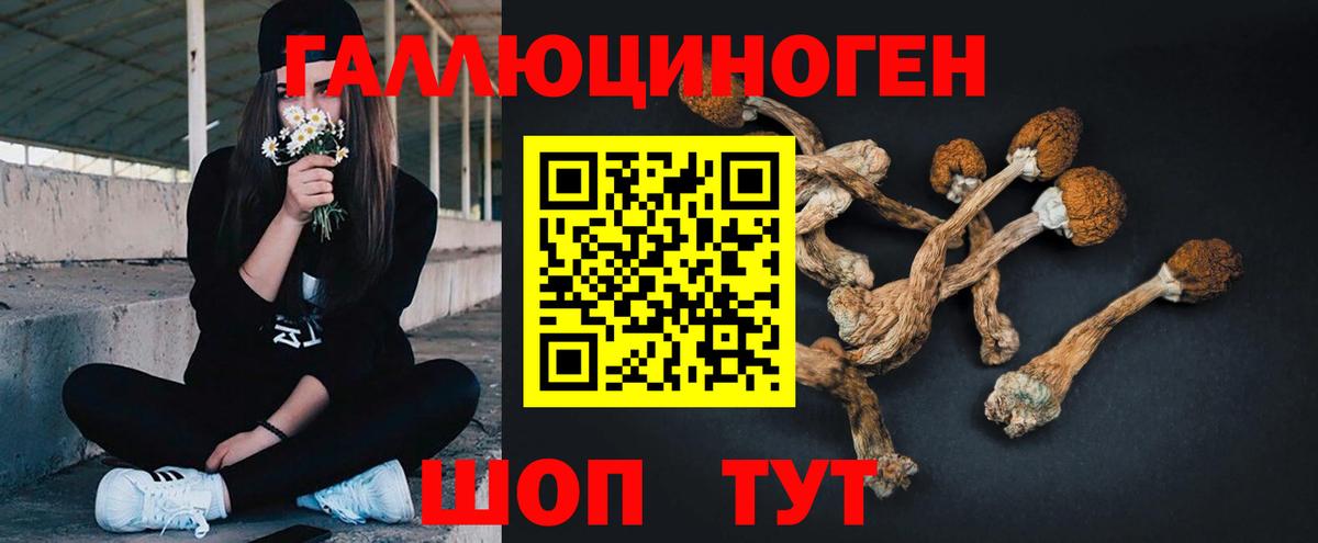 наркошоп  Вход с VPN  Ишим  Псилоцибиновые грибы Psilocybe 